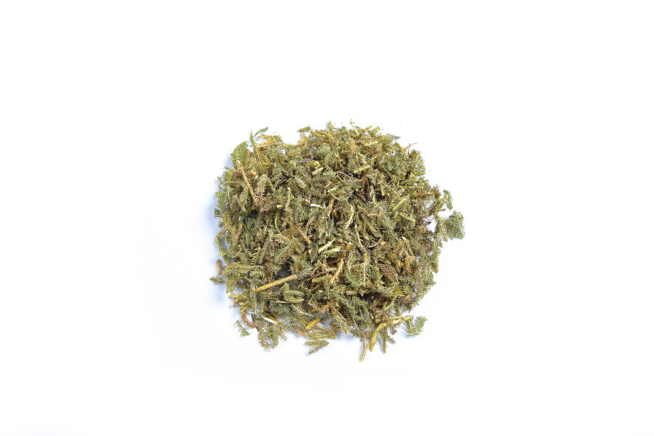 伸筋草