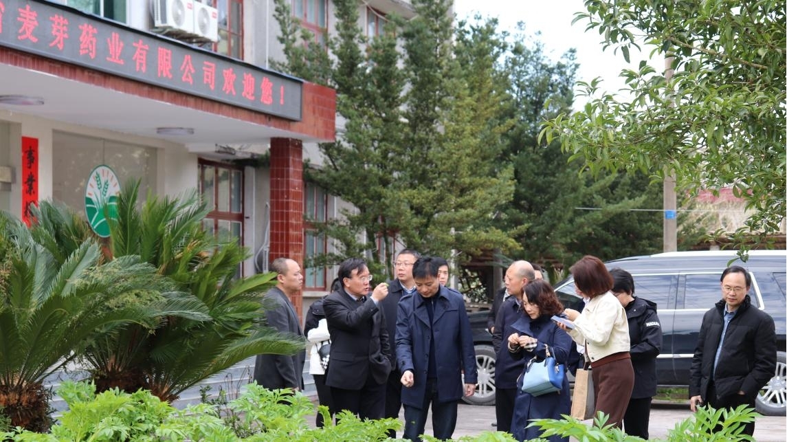 众多中药专家莅临麦芽药业考察与企业共谋产业发展新篇章
