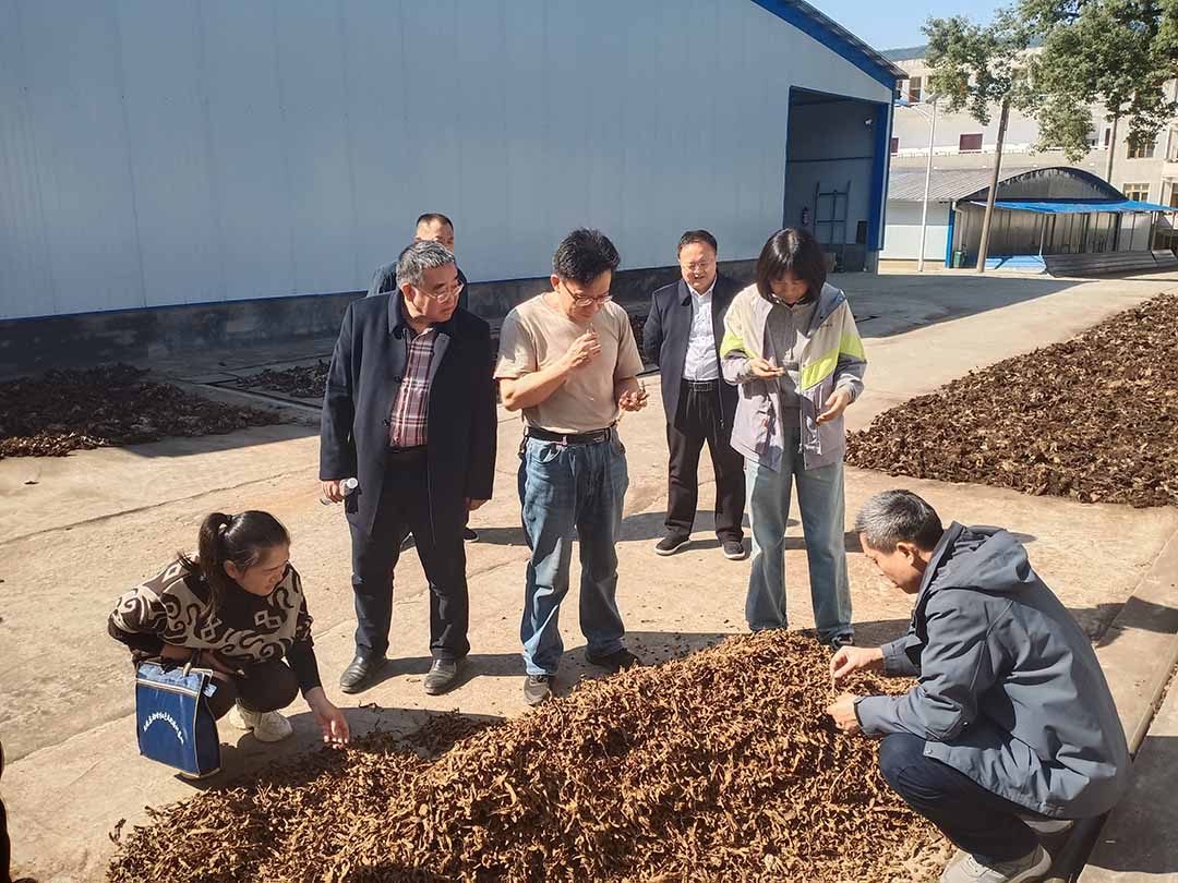 市人大领导深入麦芽药业调研