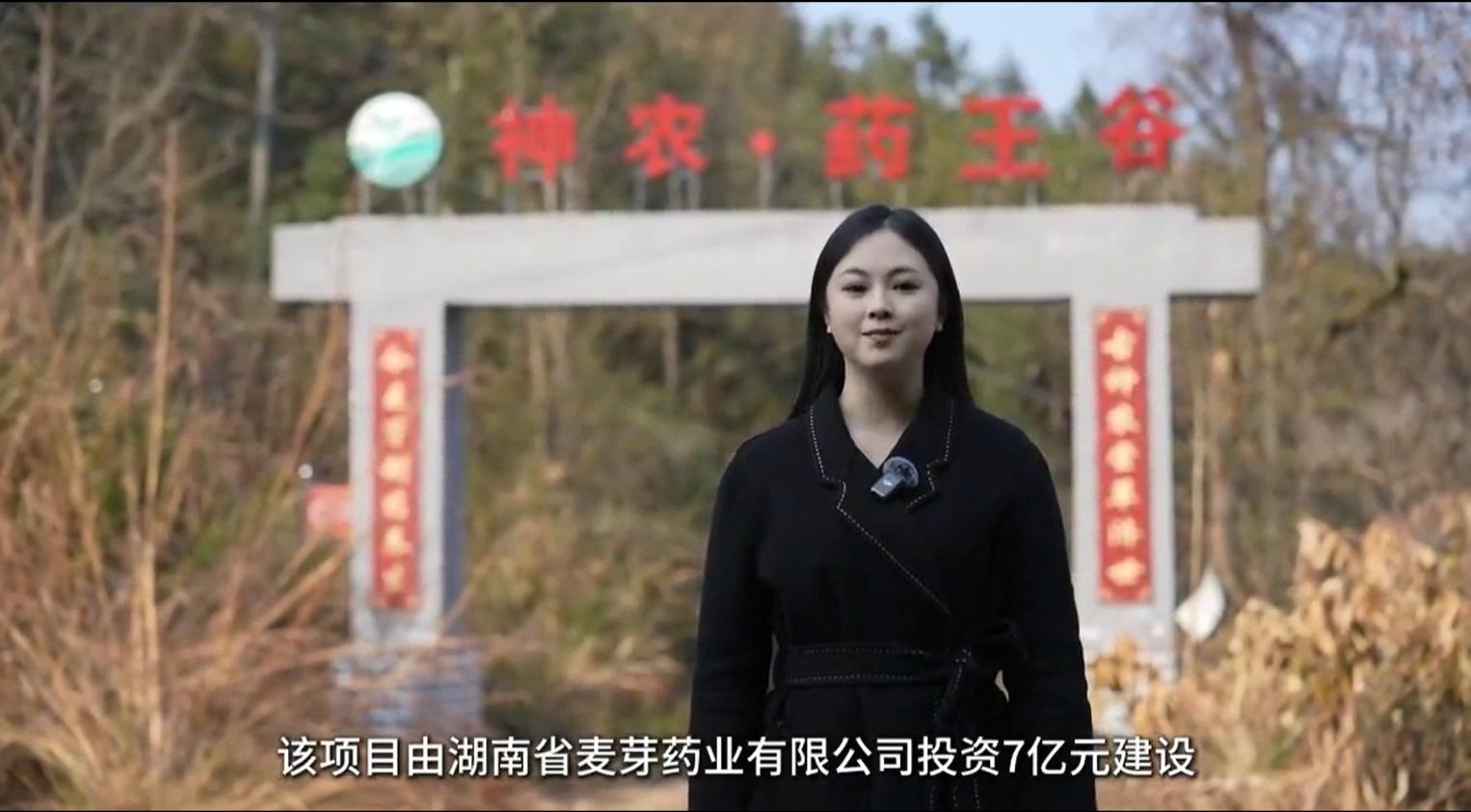 奋进中的炎陵——特色农业:以品牌建设为引领助力乡村振兴